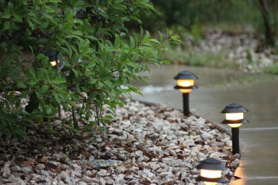 My front walkway, it was raining and I thought it looked like a cool shot.
