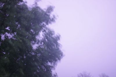 This was a fairly strong storm that hit around 10:30. These images are from about midnight-12:30. Just a note, it is pitch black outside. I got these with my camera on a tripod with my ISO and Shutter settings maxed out. 
